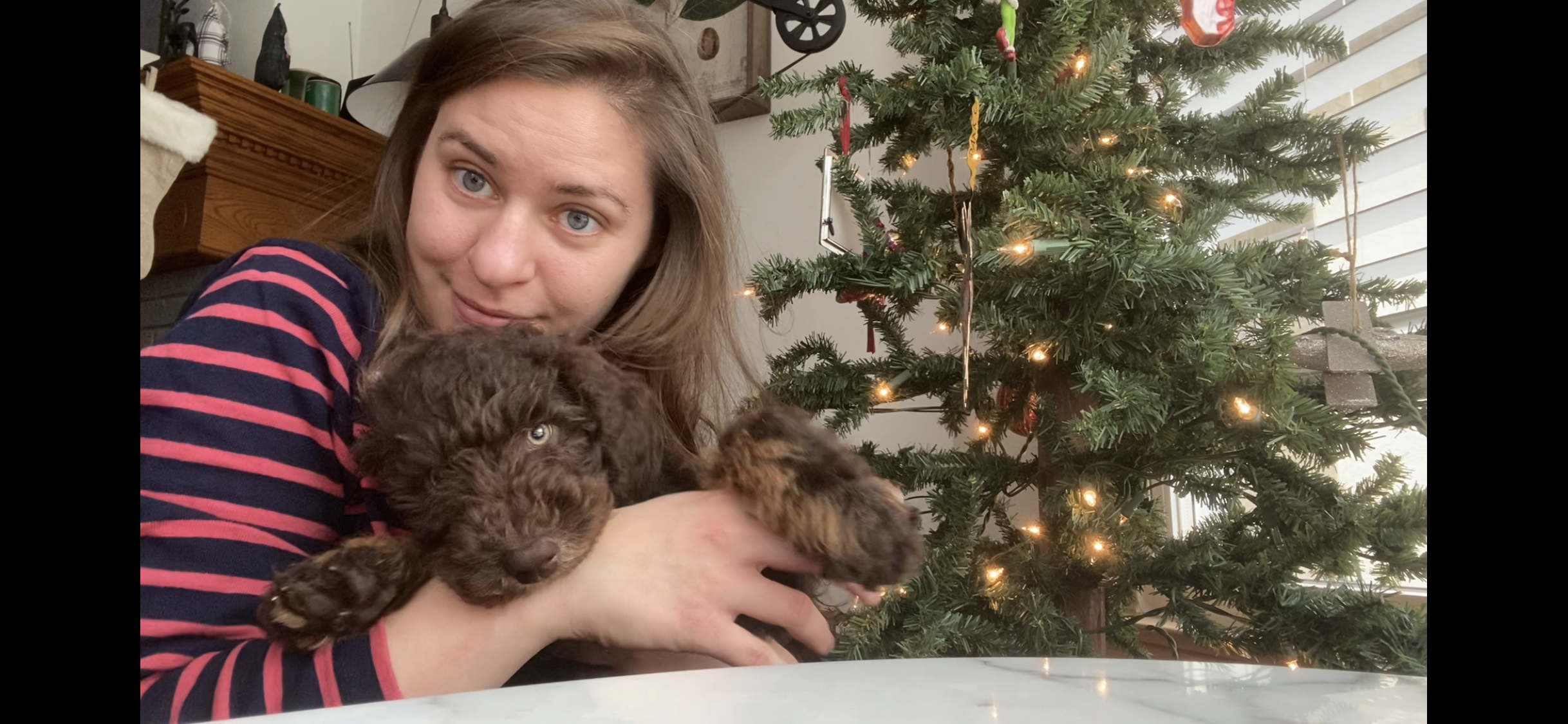 paige with christmas tree and dog